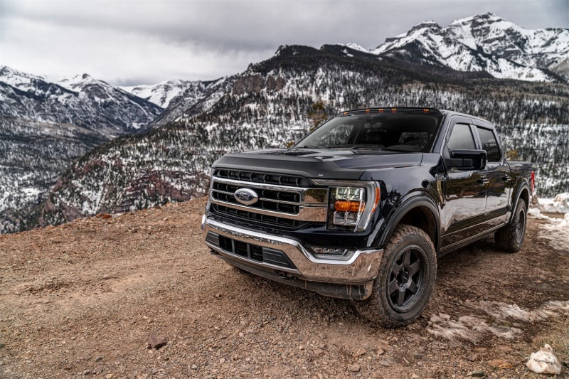 Husky Liners Aeroskin Hood Protector II Low Profile - Tex. For 2015-2020 Ford F-150 - Black